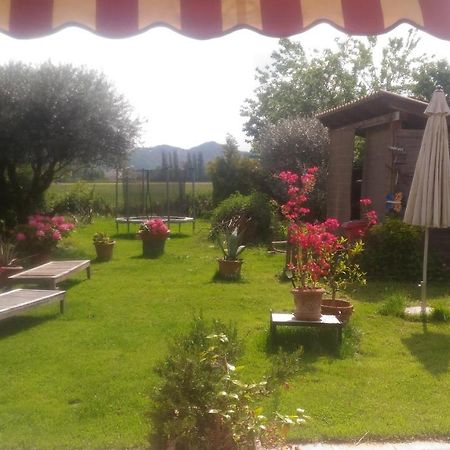 B&B Dora E Flavio Country Rooms Montegrotto Terme Zewnętrze zdjęcie